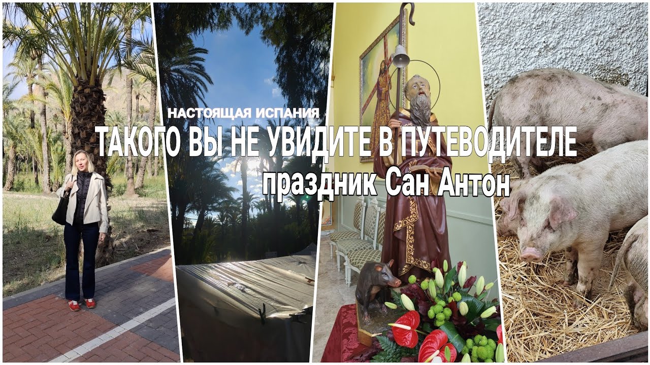 Настоящая Испания | праздник Сан Антон 