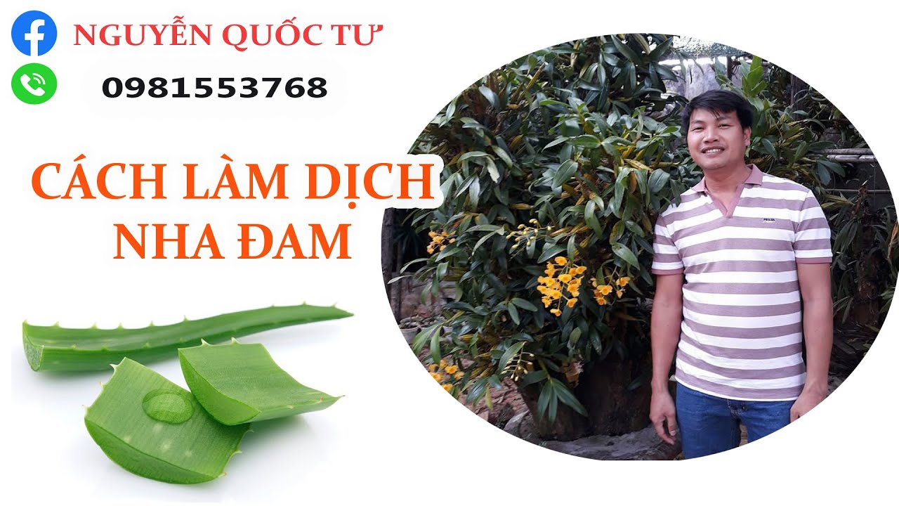 Nguyễn Quốc Tư - Hướng Dẫn Chế Biến và Sử dụng Dịch Nha Đam ( Lô Hội ) Hiệu Quả cho Phong Lan