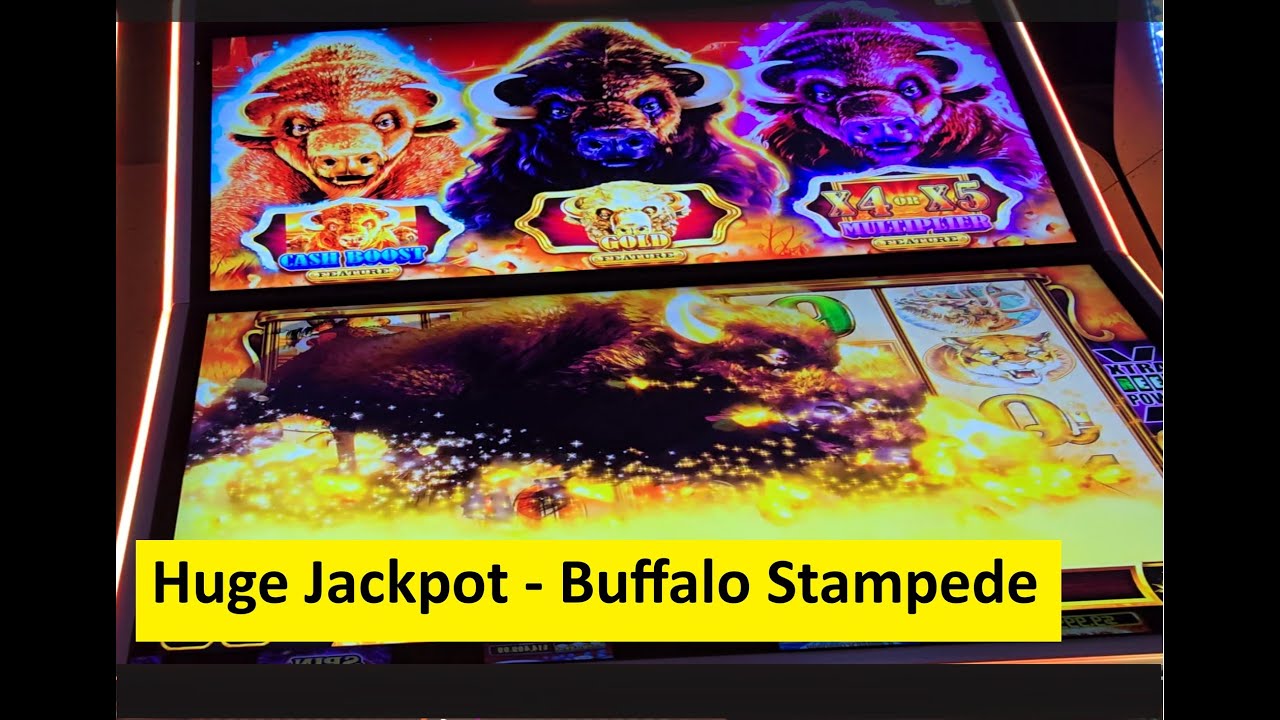 Huge Jackpot Handpay on Buffalo Gold Cash Slot! Aristocrat Game