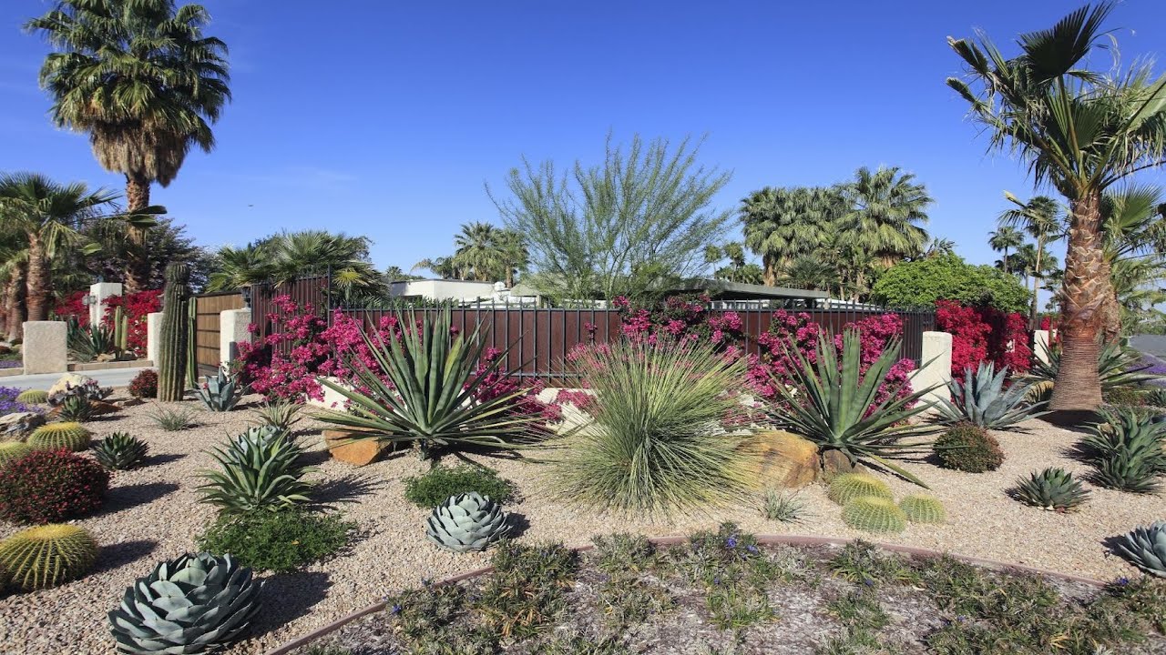 UNIQUE XERISCAPE CACTUS GARDEN DESIGNS | LOW WATER OUTDOOR GARDEN LANDSCAPE FOR SUCCULENT CACTUS
