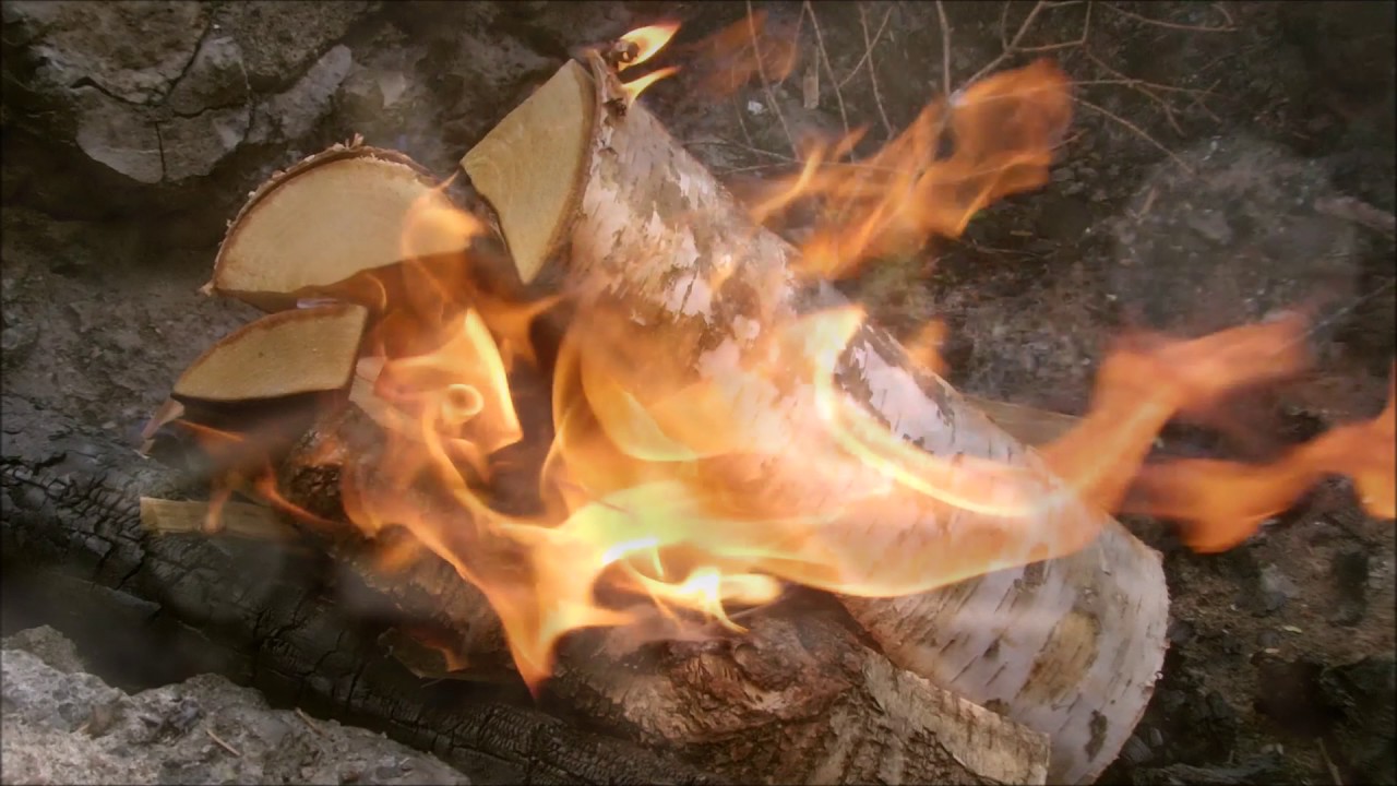 Mat i naturen - Avsnitt 3 - Kolbullar