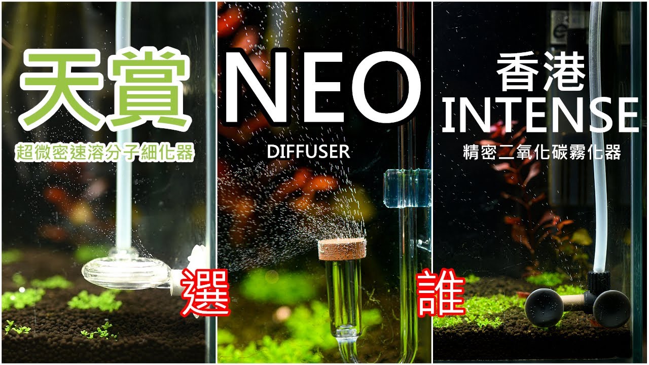 選哪個CO2細化器? 韓國 AQUARIO Neo 香港 INTENSE CO2細化器 | which is better? AQUARIO Neo vs INTENSE Co2 Diffuser