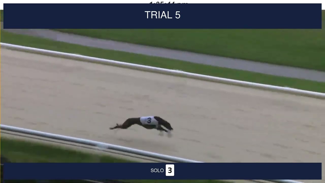 Central Park Trials on 15th January 2026