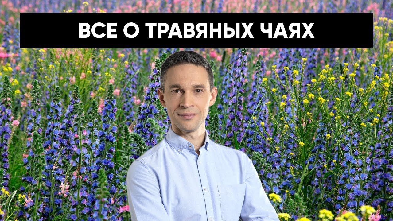 ВСЕ О ТРАВЯНОМ ЧАЕ