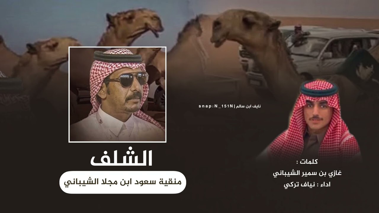 شيلة ابن مجلا الشيباني | منقية الشلف شعل عتيبه | كلمات : غازي الشيباني | اداء نياف تركي 2023 حماسيه