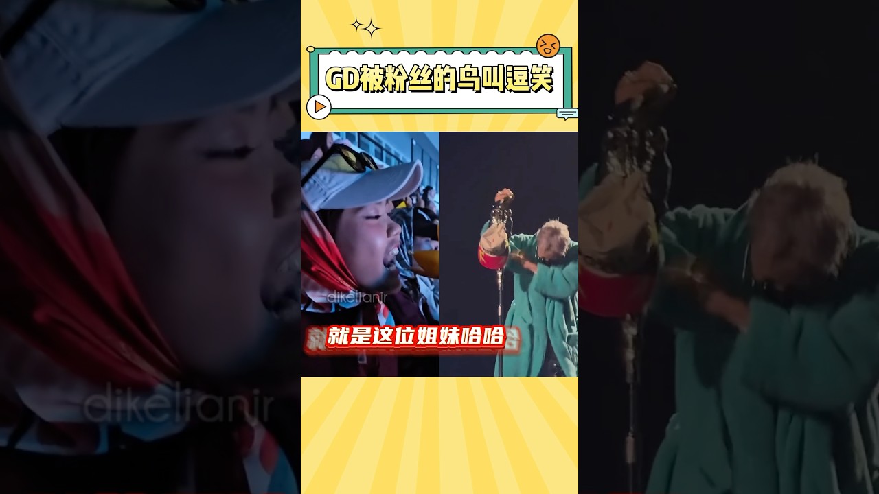 权志龙被粉丝的鸟叫逗得整个人笑到红温，甚至自己还学会了哈哈 #gdragon #演唱会