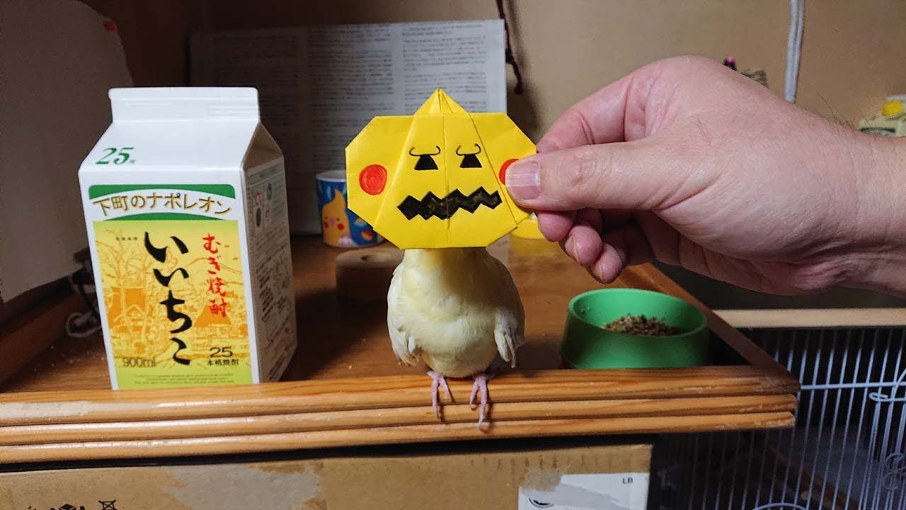 Happy Halloween 2019