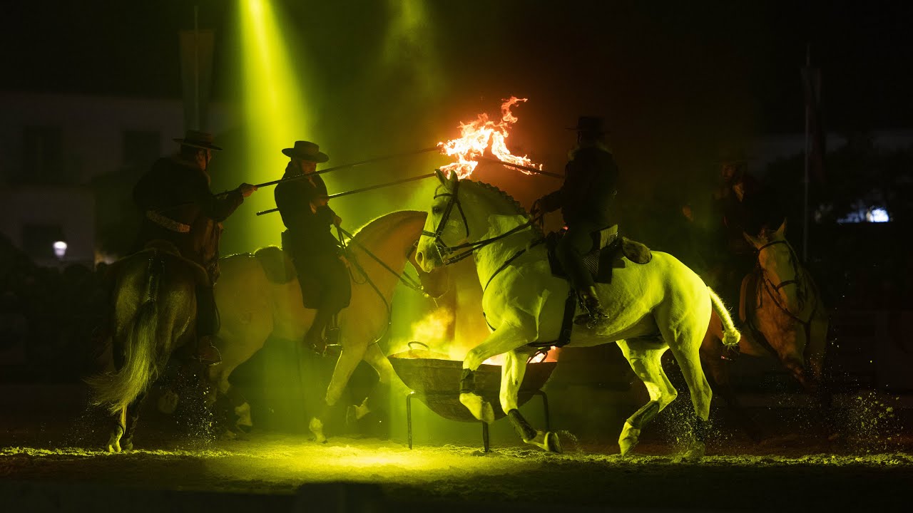 Golegã Horse Fair 2021