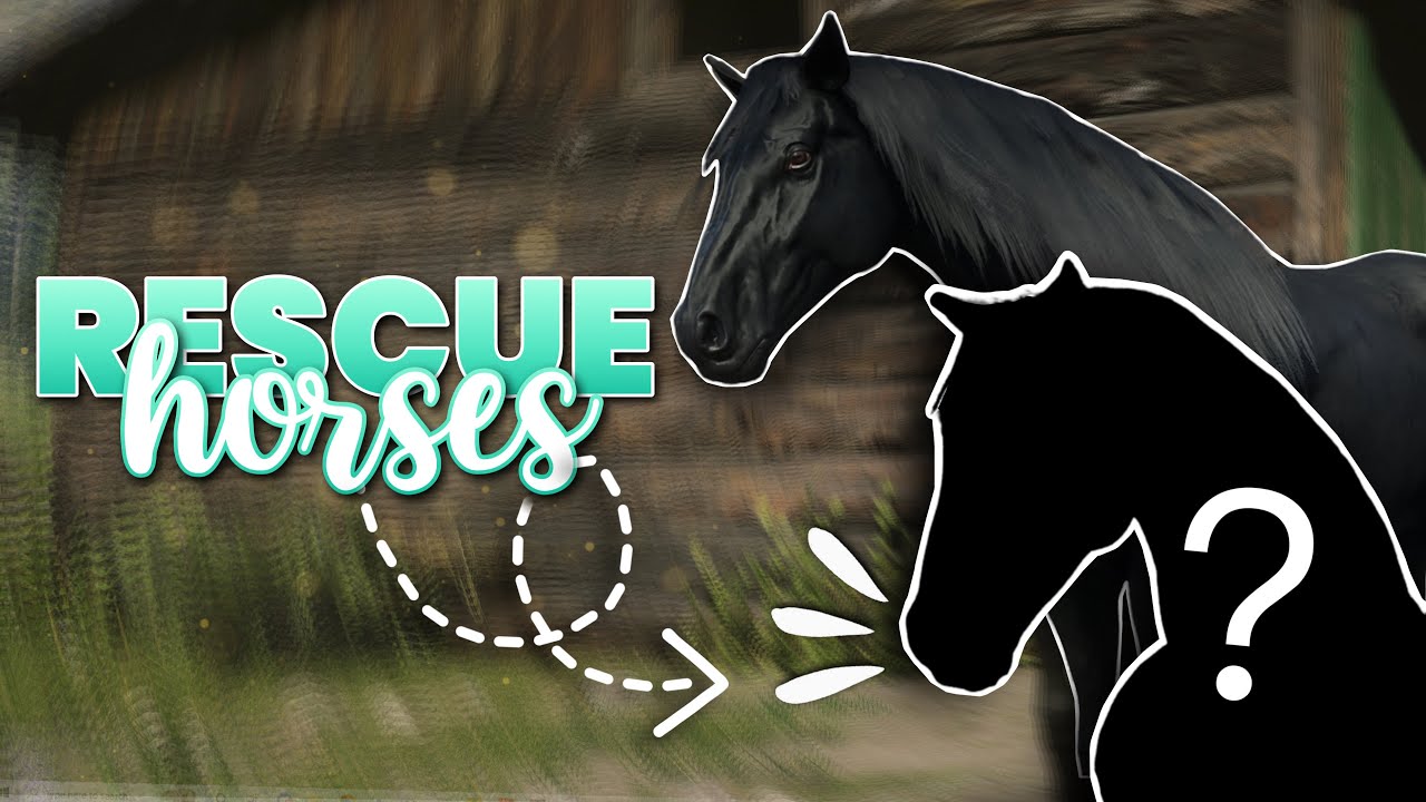 RESCUING HORSES 🐴 The Rift Wild Horse Rescue