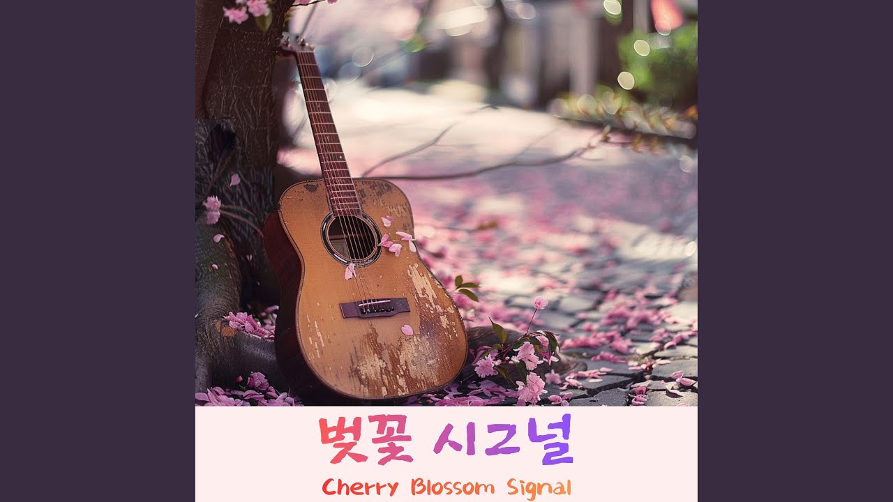 벚꽃 시그널 (Cherry Blossom Signal)-Acoustic Folk