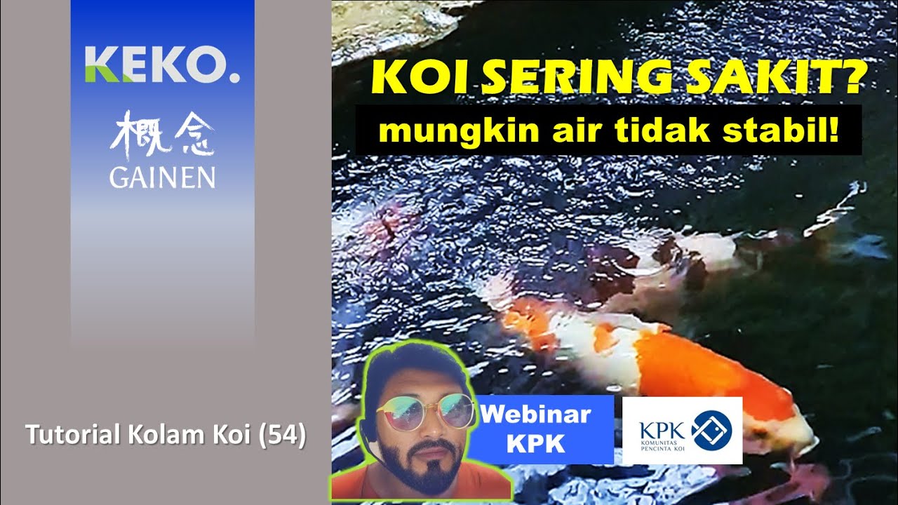 Agar Koi Tidak Sering Sakit | Webinar KPK - Stabilitas pH Air Kolam Koi | Tutorial Kolam Koi {54}