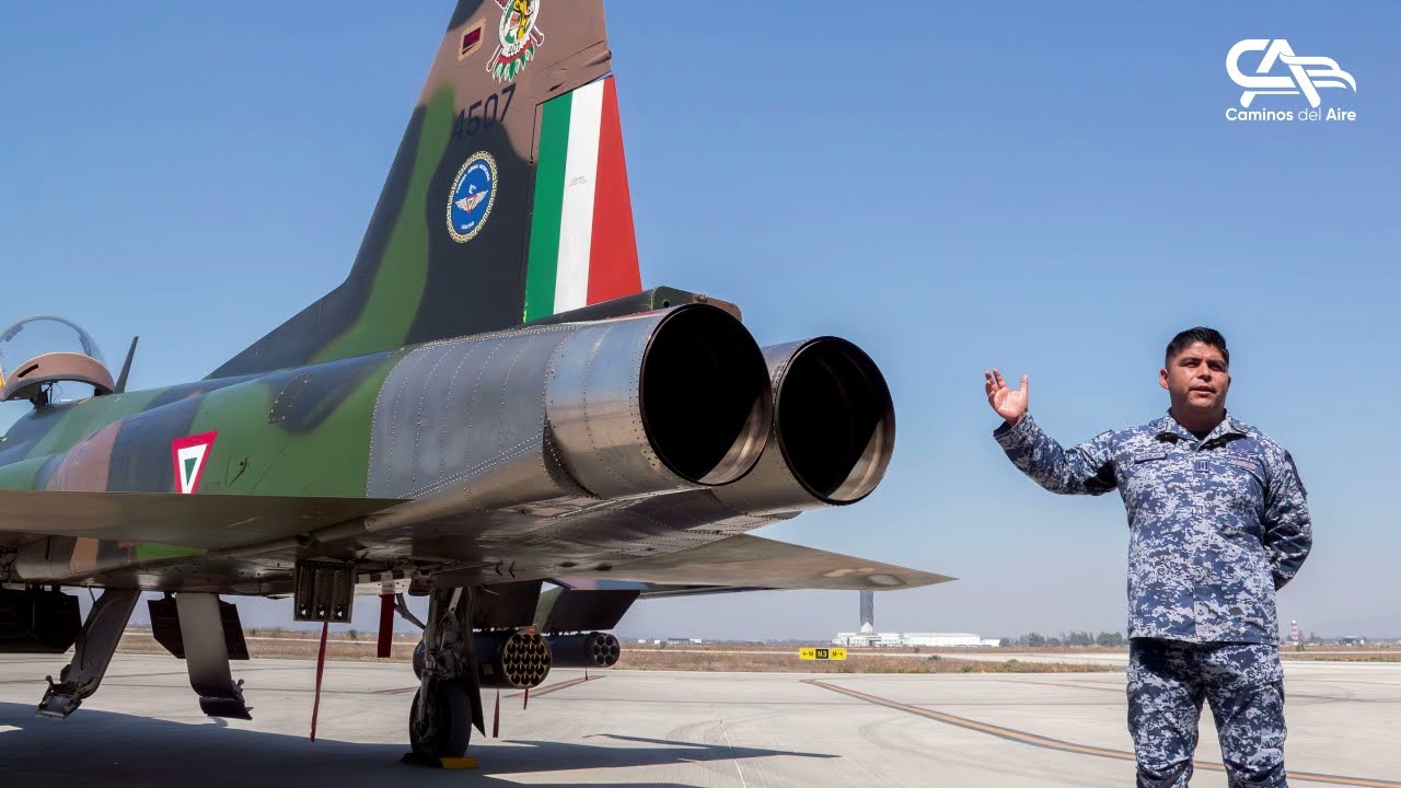 Fuerza Aérea Mexicana: Escuadrón Aéreo 401