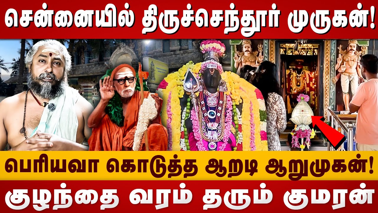 சென்னையில் திருச்செந்தூர் முருகன்! | Sri Vadachendur Murugan | MahaPeriyava | Chennai murugantemples