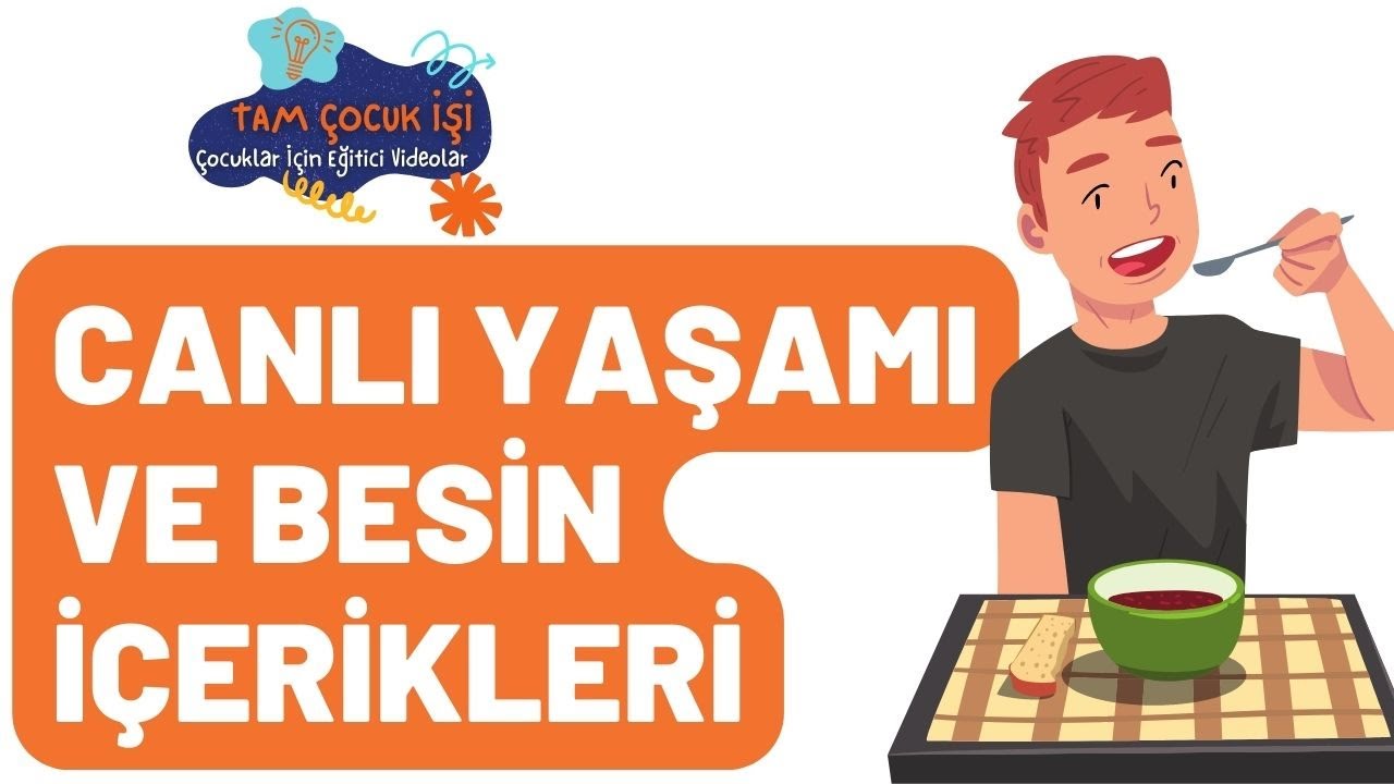 Canlı Yaşamı ve Besin İ&ccedil;erikleri -  &Ccedil;ocuklar İ&ccedil;in Eğitici Videolar