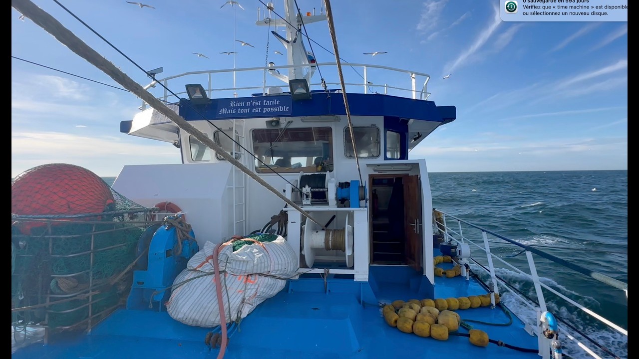 Fishing the herring- new version