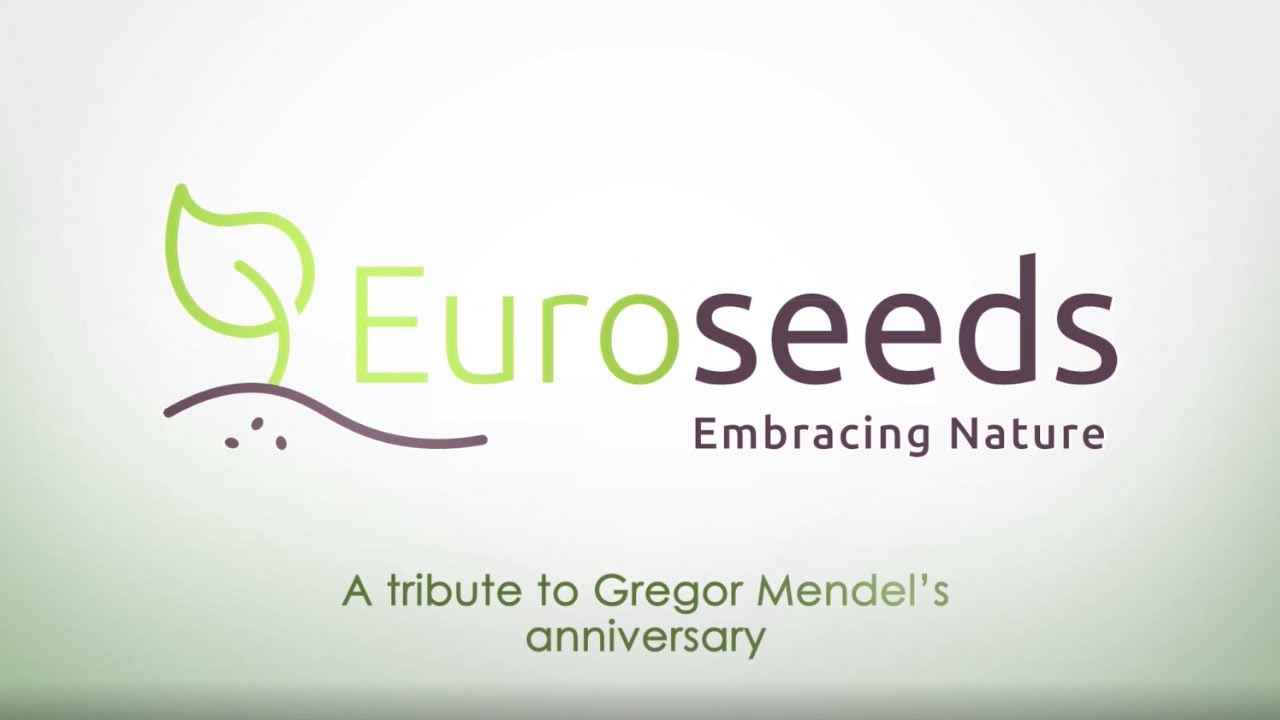 #Mendel200 birth anniversary: A Euroseeds tribute to the father of genetics