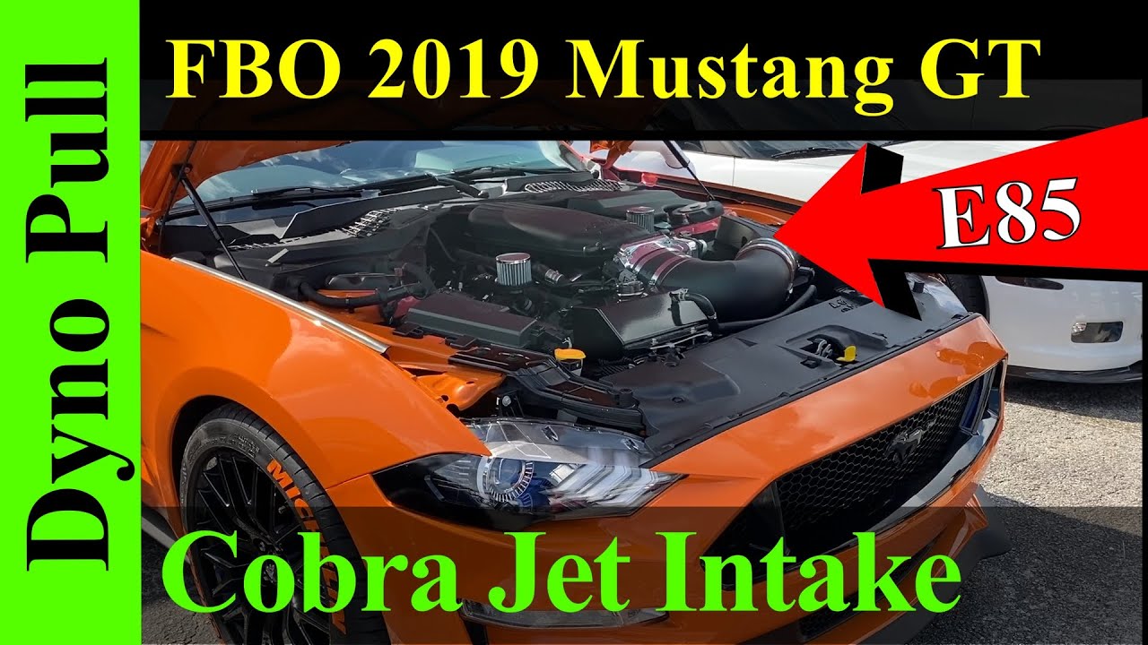 2019 Mustang GT _ FBO Cobra Jet Rips on the Dyno