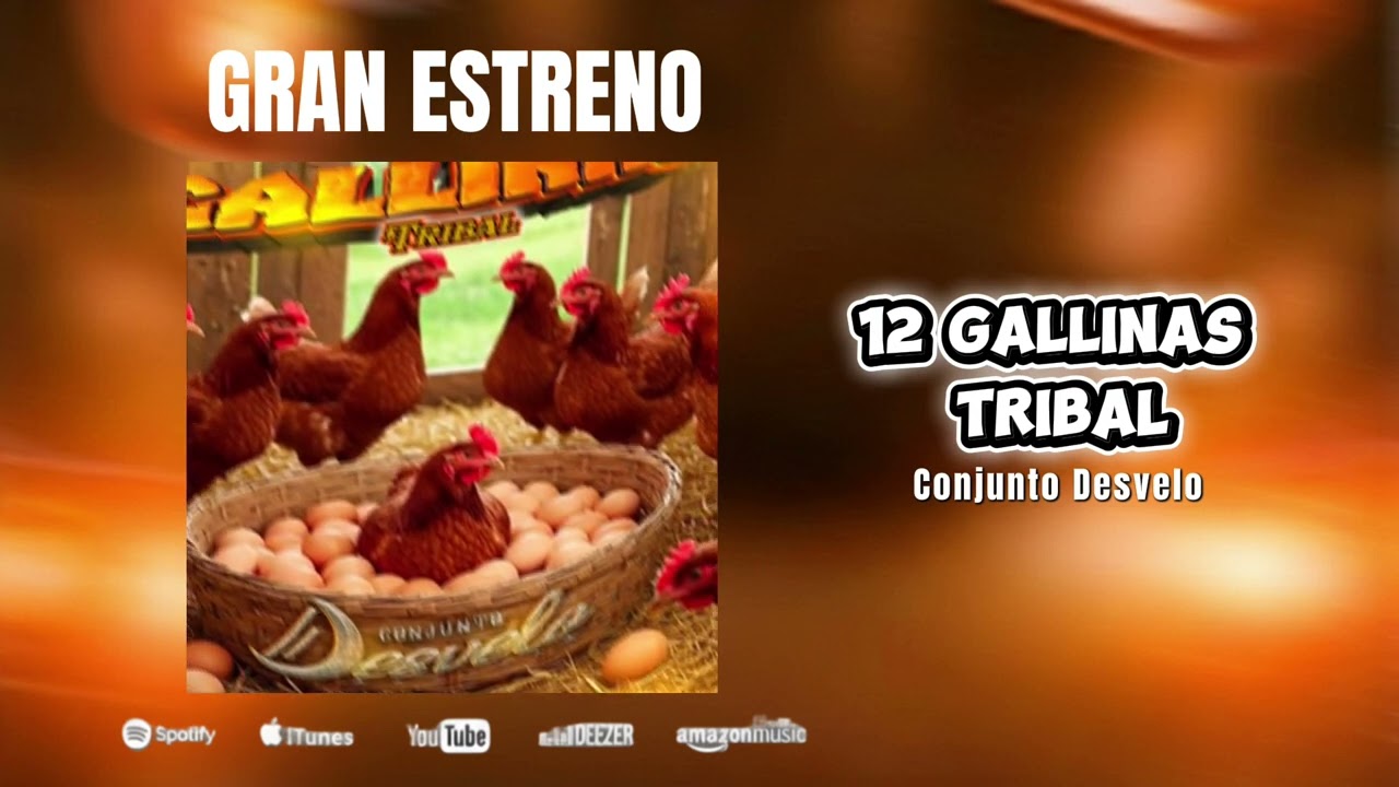 12 Gallinas Tribal - Conjunto Desvelo ESTRENO 2026