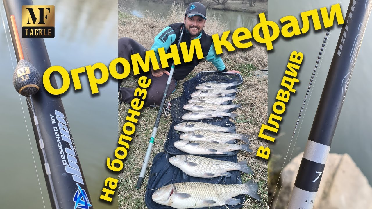 Риболов с болонезе на огромни кефали в гр.Пловдив