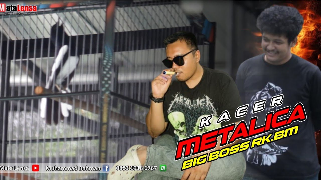 Kacer METALICA Big Boss RK.BM