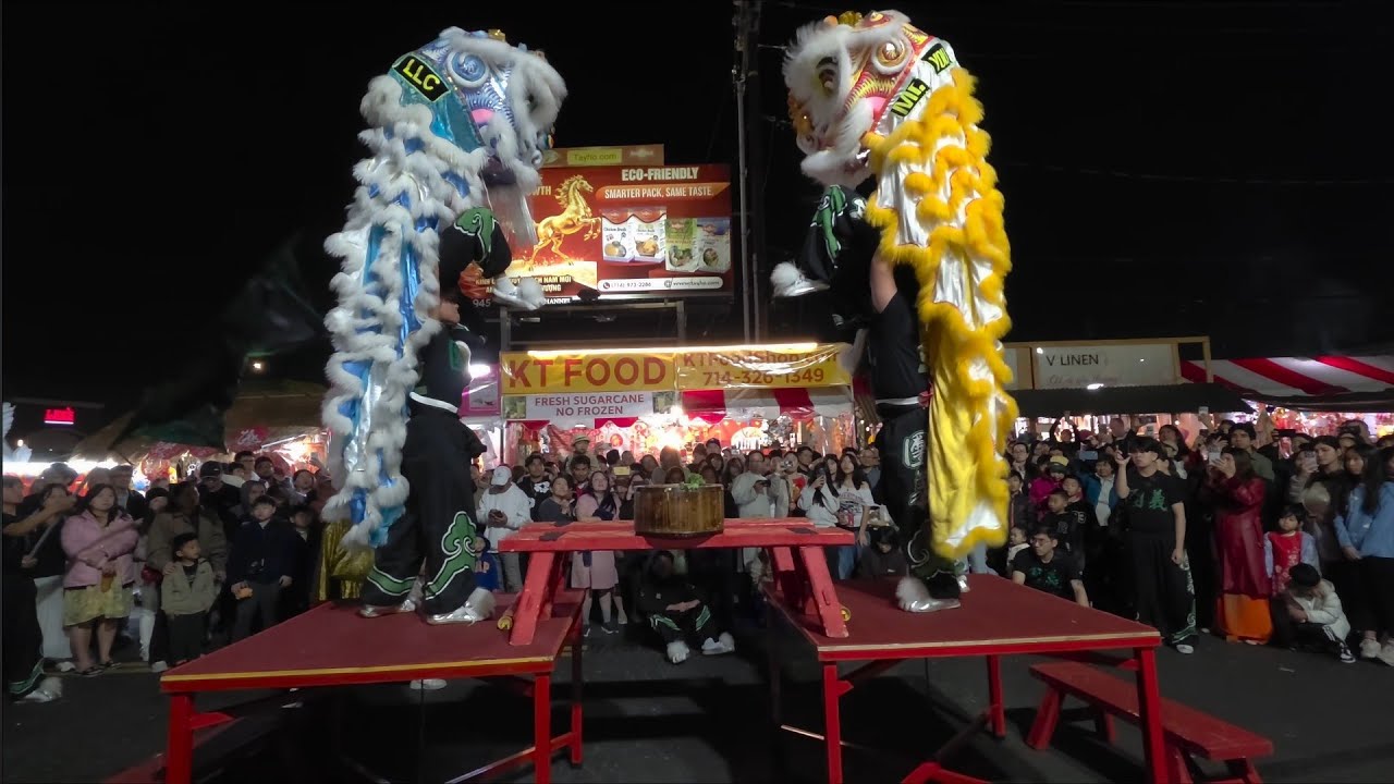TYT Hong Kong Lion Dance Tables Routine 2026