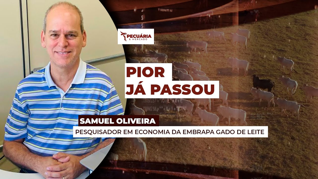 Pre&ccedil;os do leite  ao produtor param de cair com ajuste  entre oferta e demanda