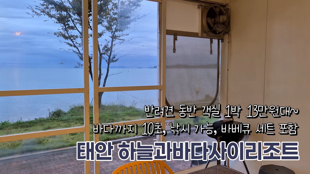 태안 가성비, 오션뷰, 낚시 가능 반려견 동반 리조트! 하늘과바다사이리조트 애견 동반 객실🐶