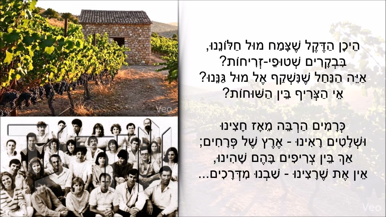 שיר עד - צריף בכרם - מילים: נח דר | לחן: עממי ברזילאי | שירה: להקת הרעננים, 1984 - The Raananim
