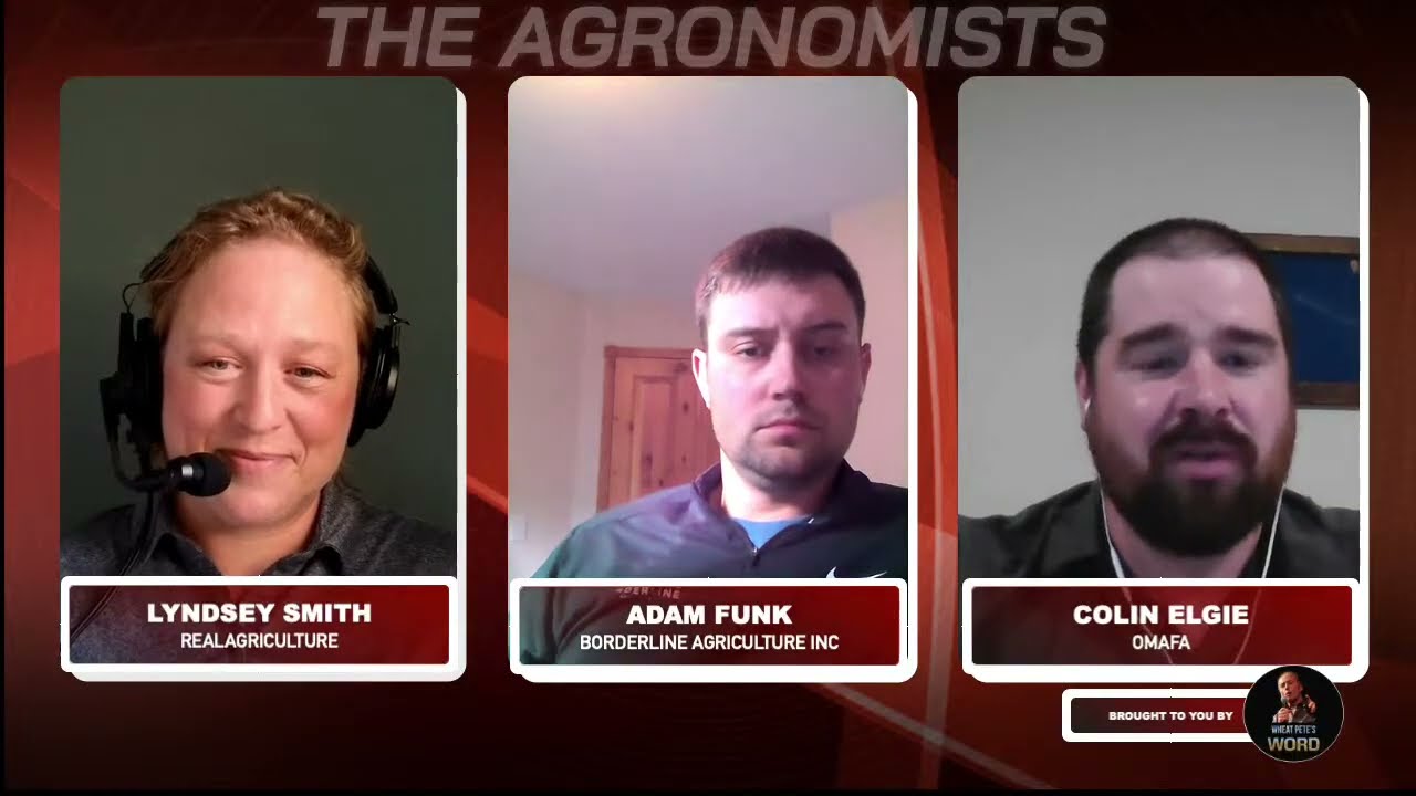 The Agronomists, Ep 201: Sidedress decisions with Colin Elgie and Adam Funk