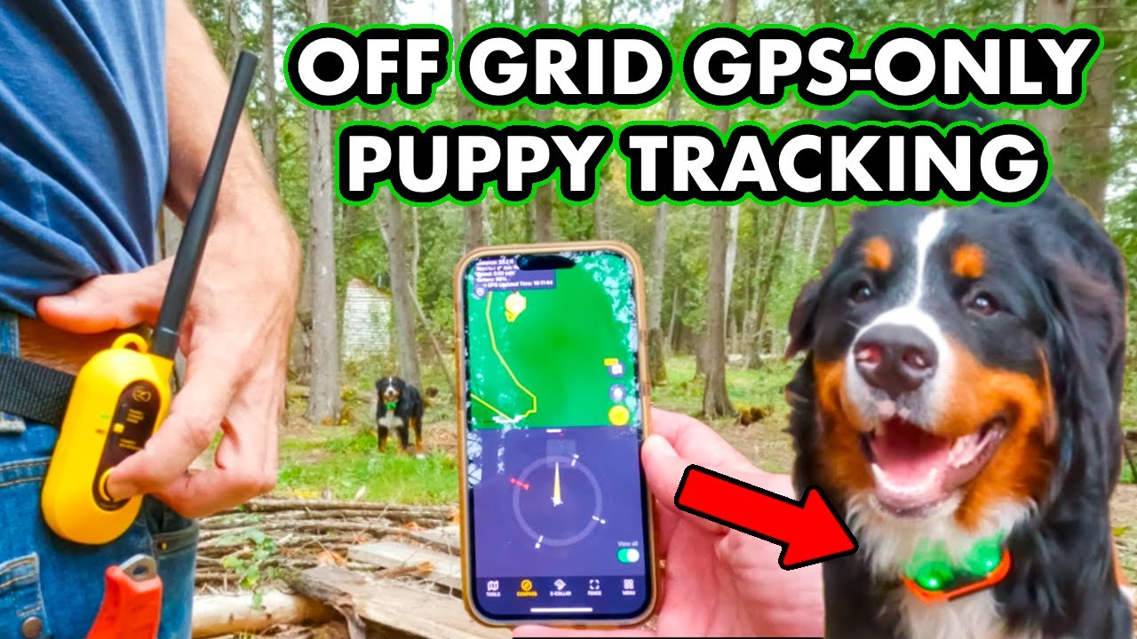 No Fence. No Chain. Off Grid GPS Dog Tracking & Training. No Cell Service! ep206