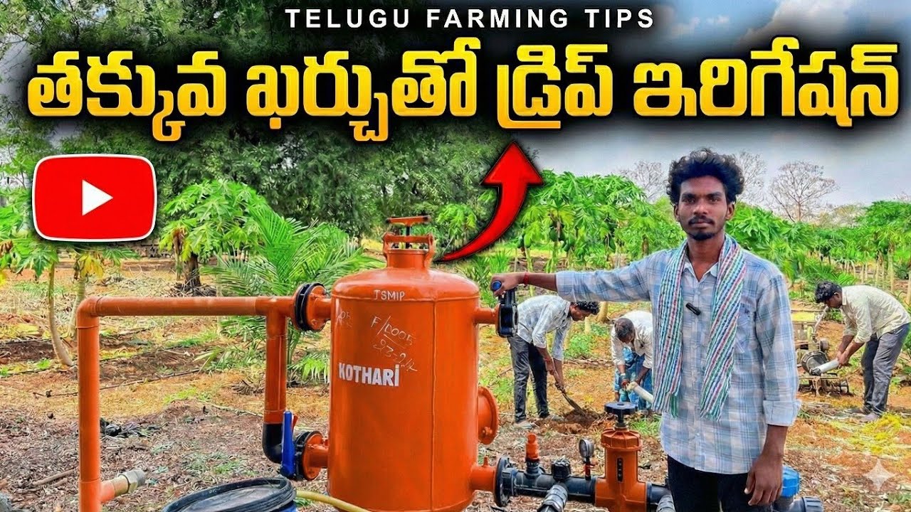 తక్కువ ఖర్చుతో డ్రిప్ ఇరిగేషన్!| Low cost drip irrigation cultivation in telugu| Telugu Farming Tips