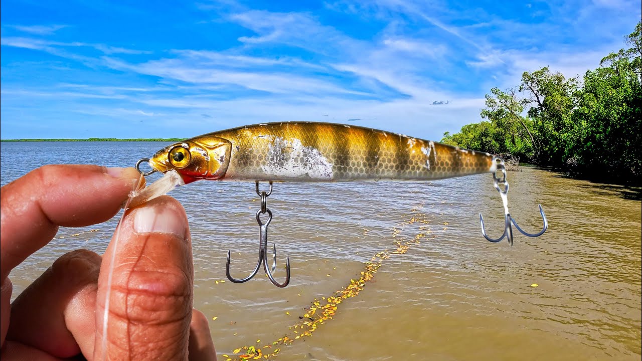 WEIPA Barra Tournament 2024 - Part 1