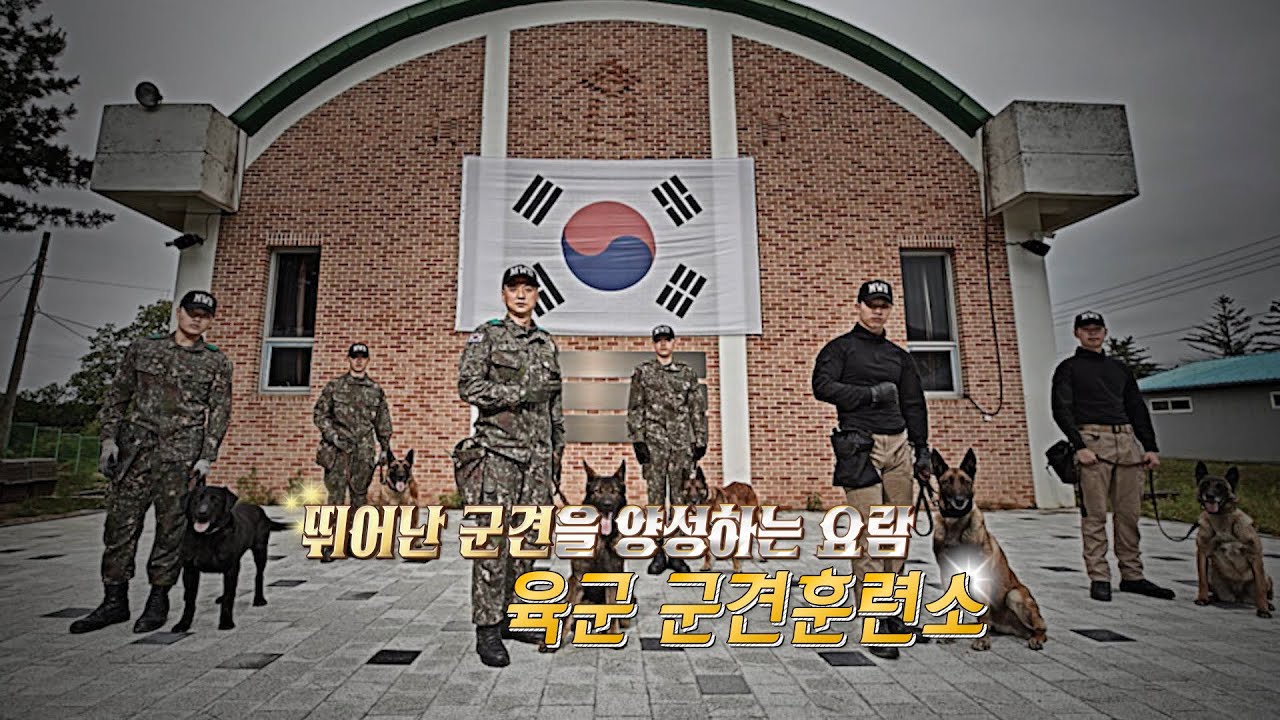 육군 군견훈련소 (1편)(충성tv) | 따돌림의 인한 인권침해 사례 [행군기 431회] | 국방홍보원