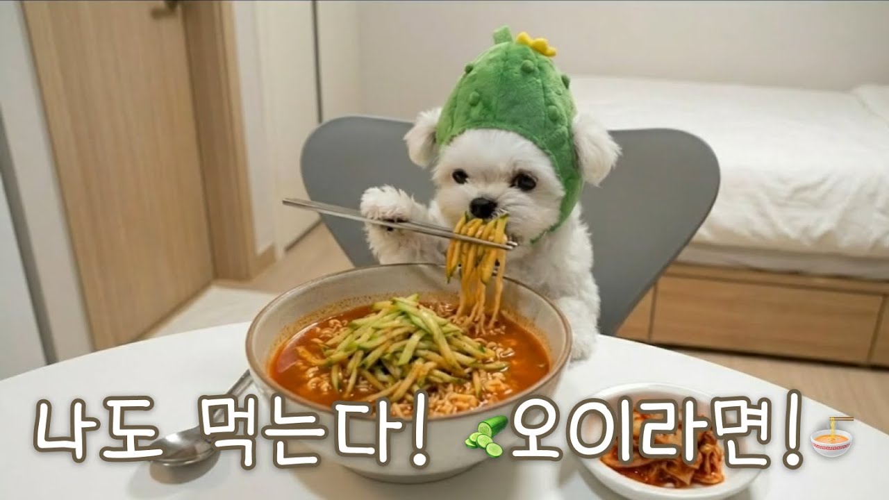 5252 오이시한 🥒임짱셰프님의 오이라면🍜(#ai)