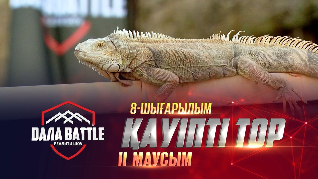 &laquo;ДАЛА BATTLE 2&raquo;. Қауіпті тор. 8-шығарылым /&laquo;ДАЛА БАТТЛ 2&raquo;. 8-выпуск