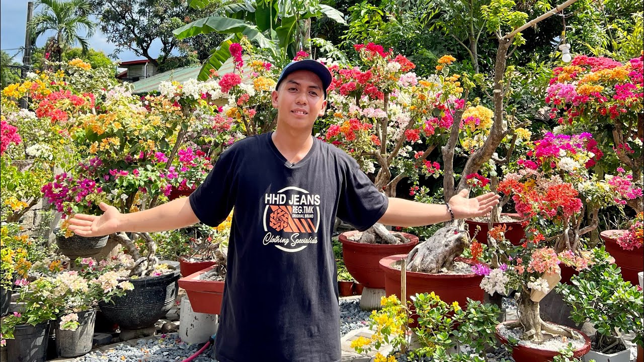 LAKI at BILIS KITA sa ROOTING SYSTEM PROPAGATION: P250 KADA STEM in 2 MONTHS!