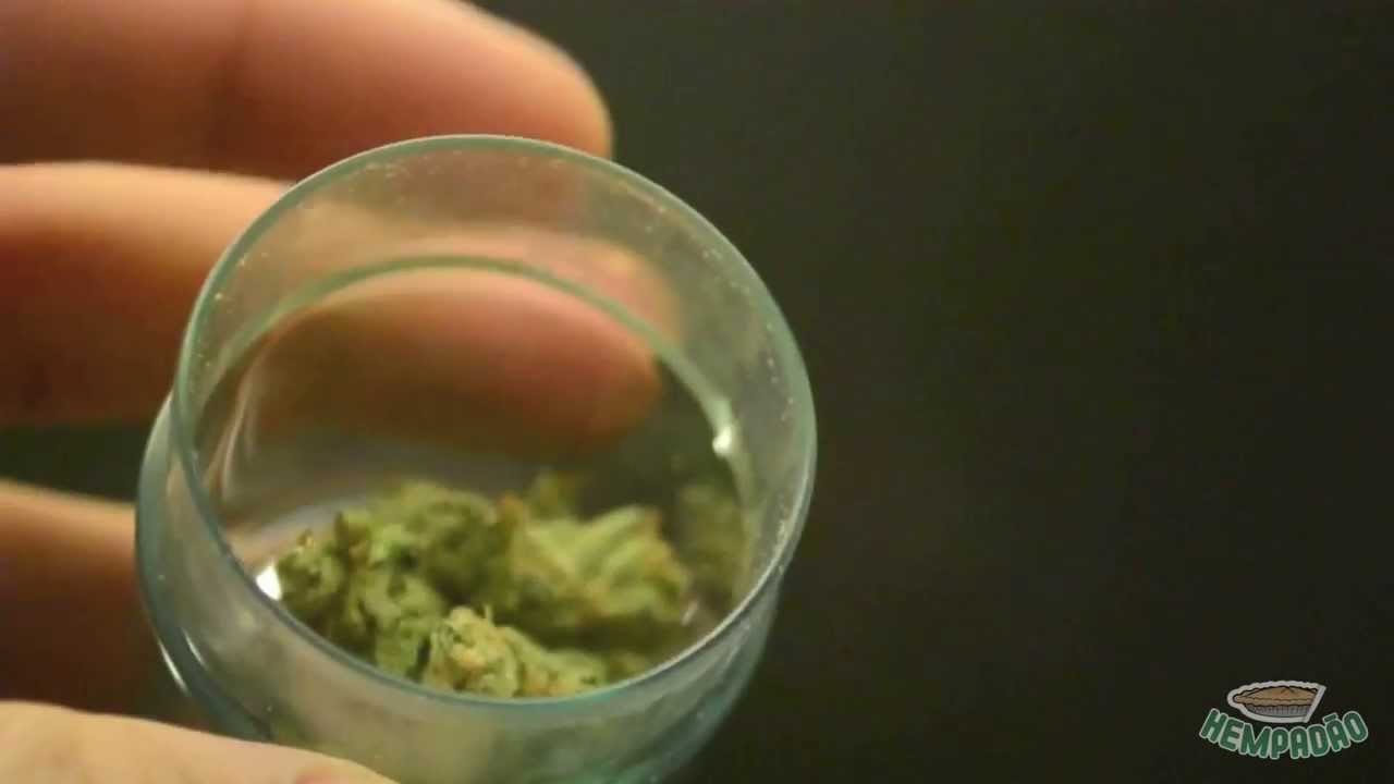 G13 Amnesia - Strain Review #6