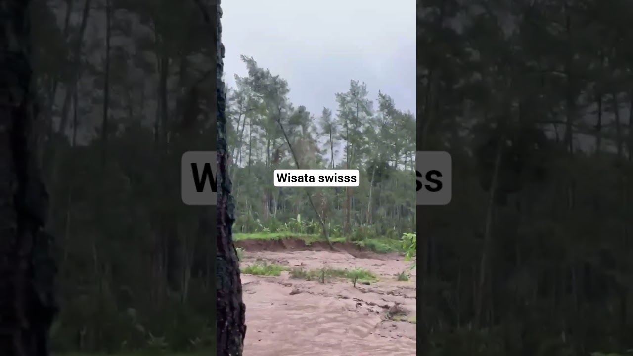 wisata Swiss songgon #swiss #banjirbandang #banjir #banjirlagi #songgon #bwi24jam
