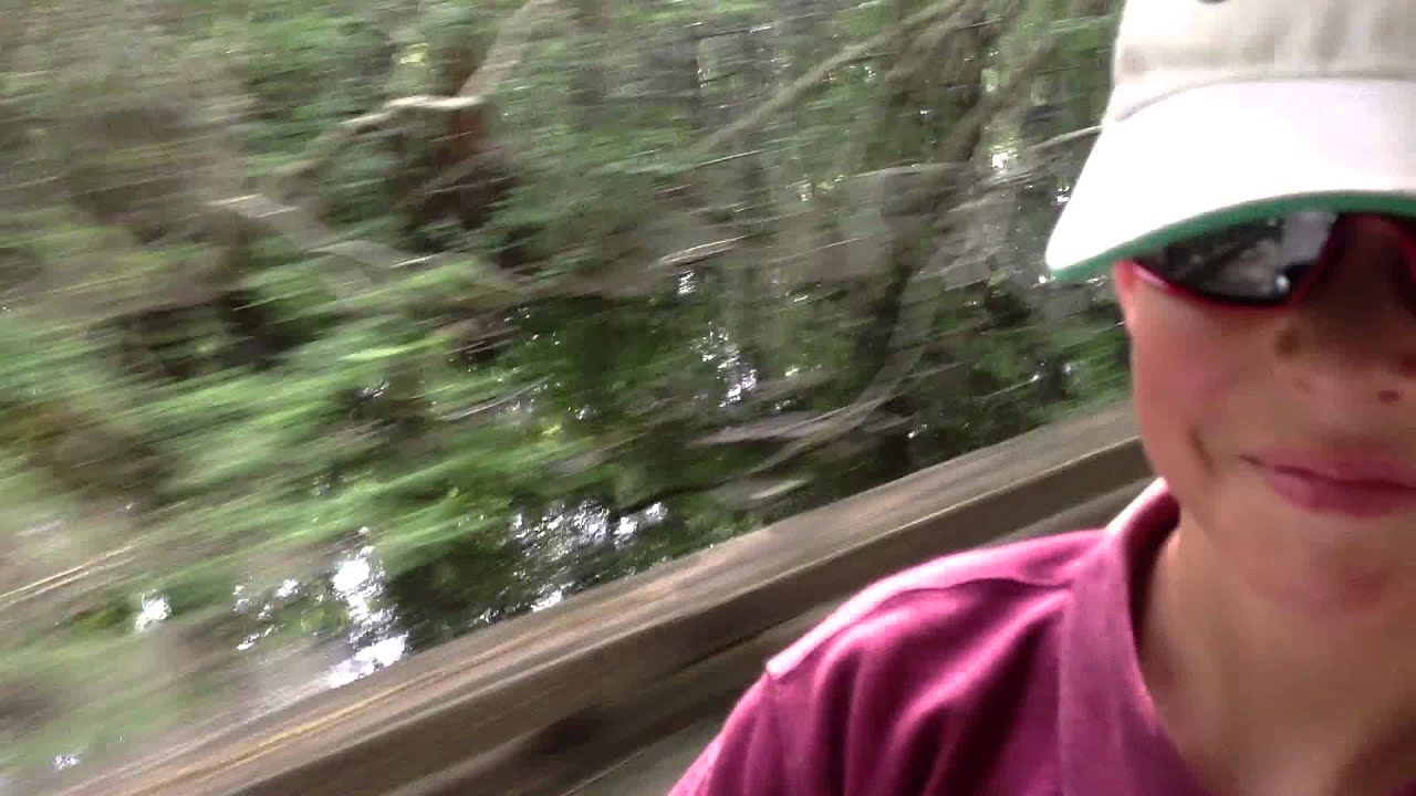 Driving Through the Swamp