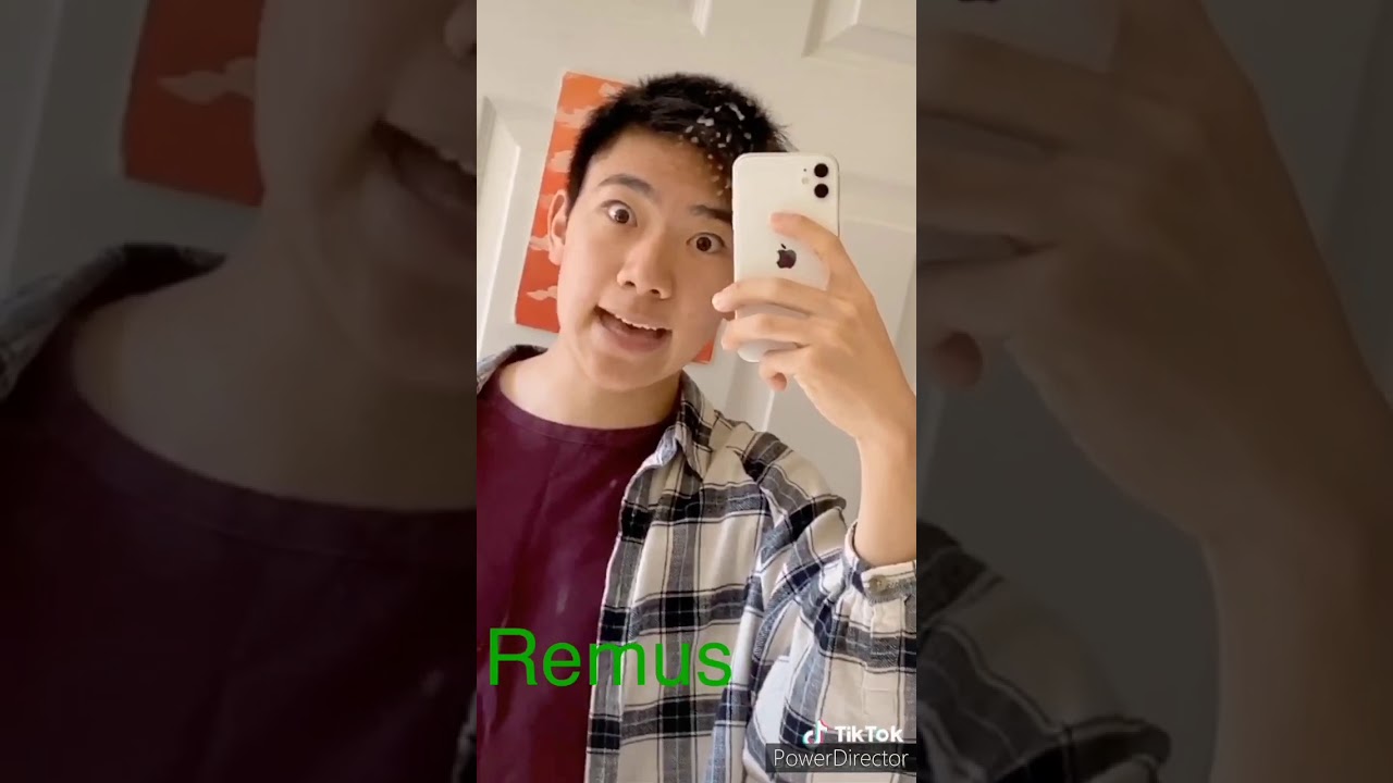Sanders Sides As Tiktoks #11 (Remus Edition)