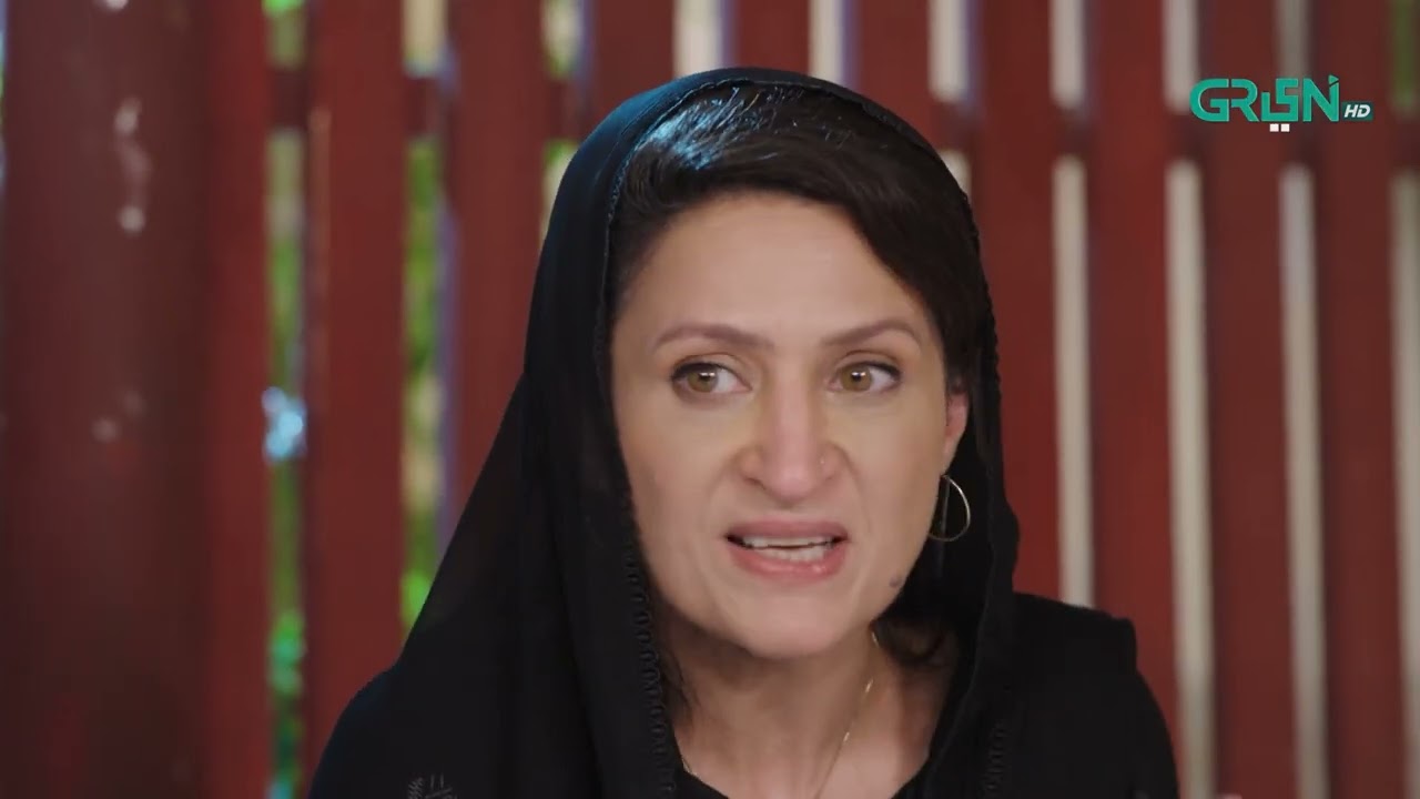 Zaviyar Abhi Ainy Ko Talaq Do #faaslay #aliansari #sabooraly