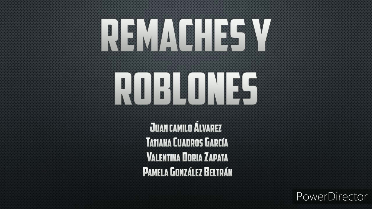 Remaches y Roblones