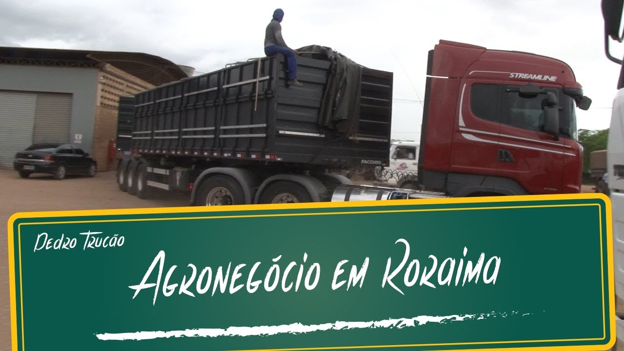 Agronegócio em Roraima