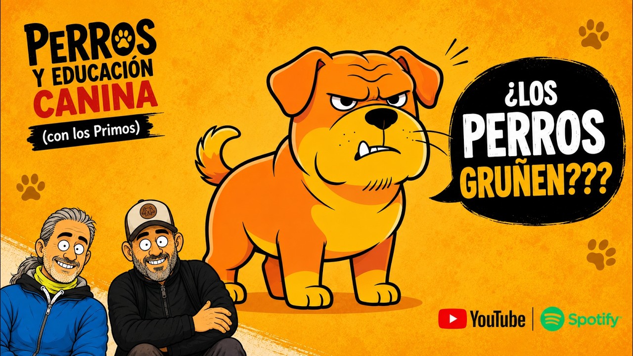 los Primos - ¿los perros gruñen???
