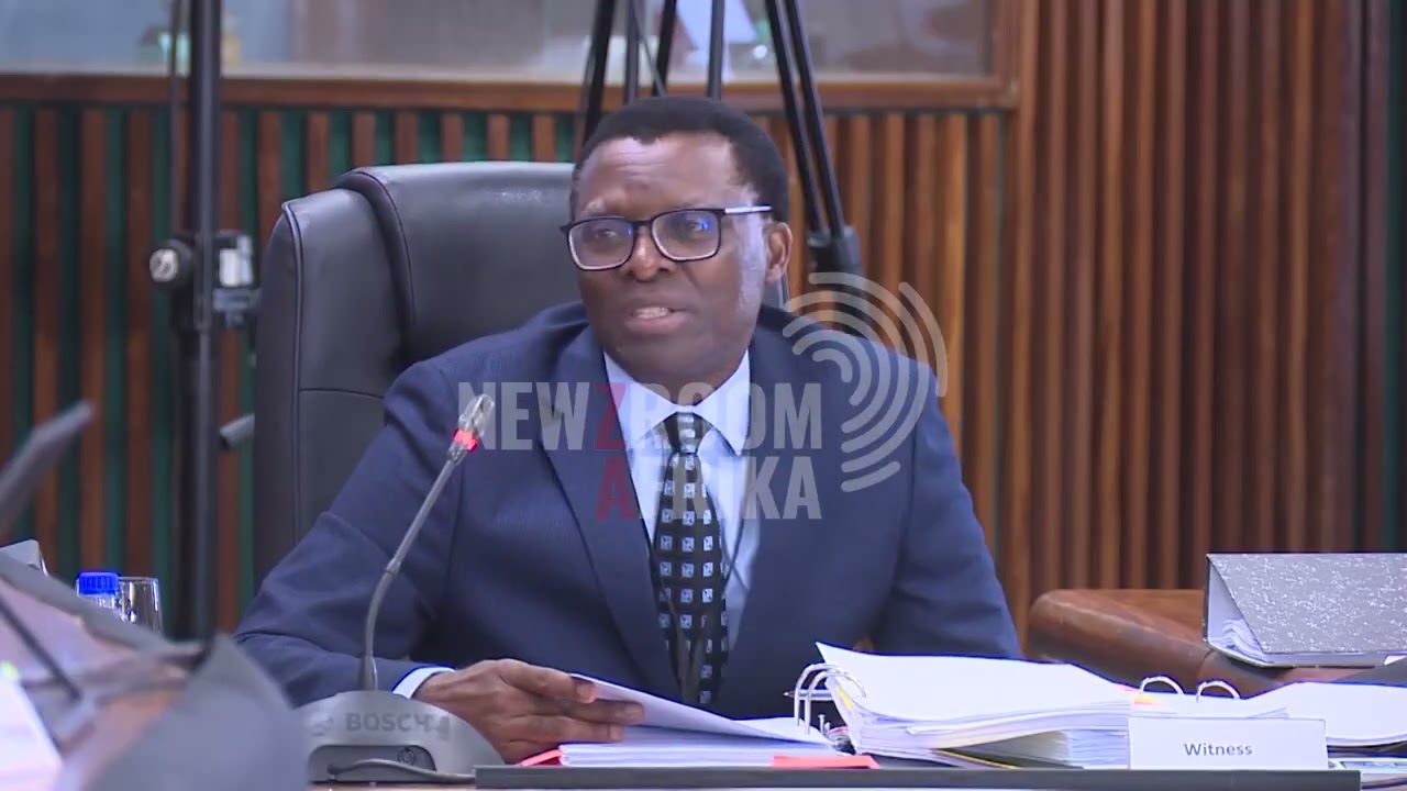 Maema accuses Batohi of failing to act against allegations of systemic criminality