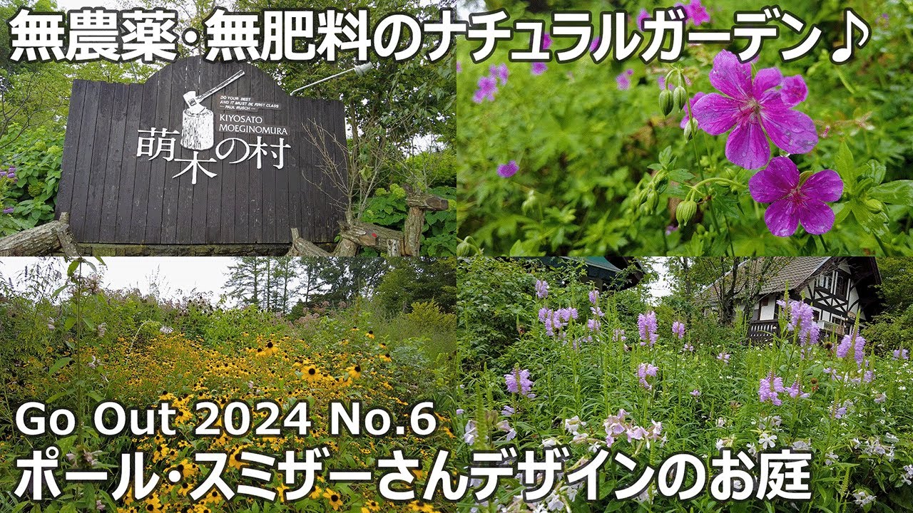 【おでかけ 2024 No.6】萌木の村に行ってきました♪