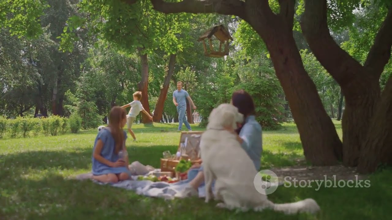 Grand Solar Minimum Explained: What is It? #grandsolarminimum