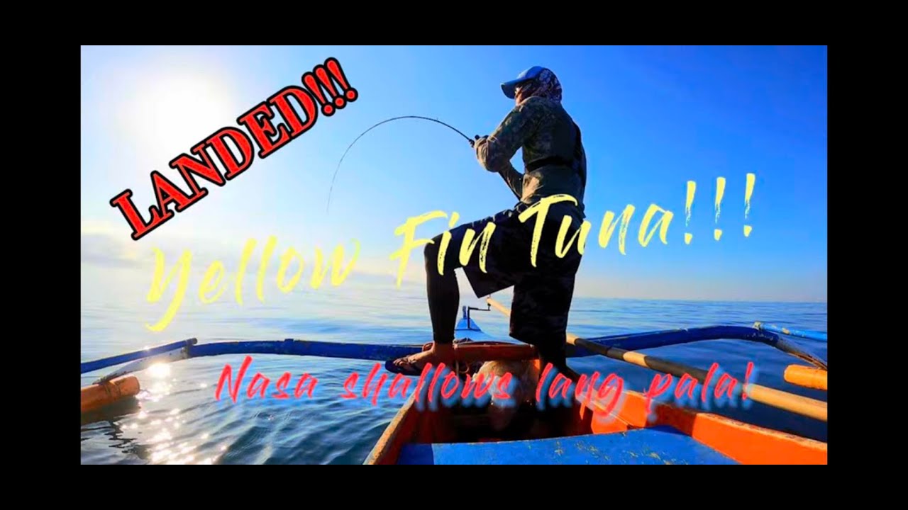 YELLOWFIN TUNA @ 100m deep!! | The beauty of slow pitch jigging| Xzoga BBx Revo in action