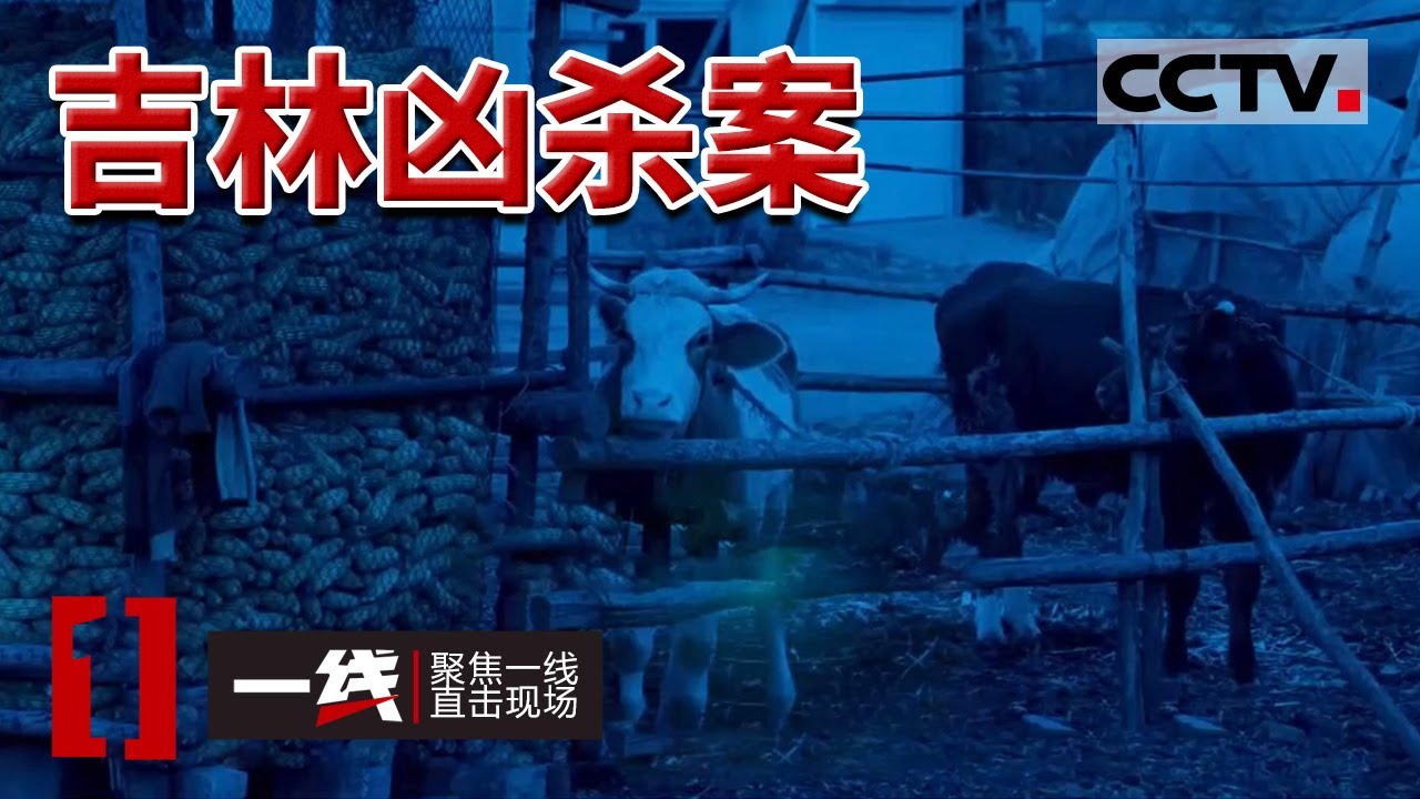 《一线》1991年吉林特大命案 凶手潜逃30多年落网！20240322
