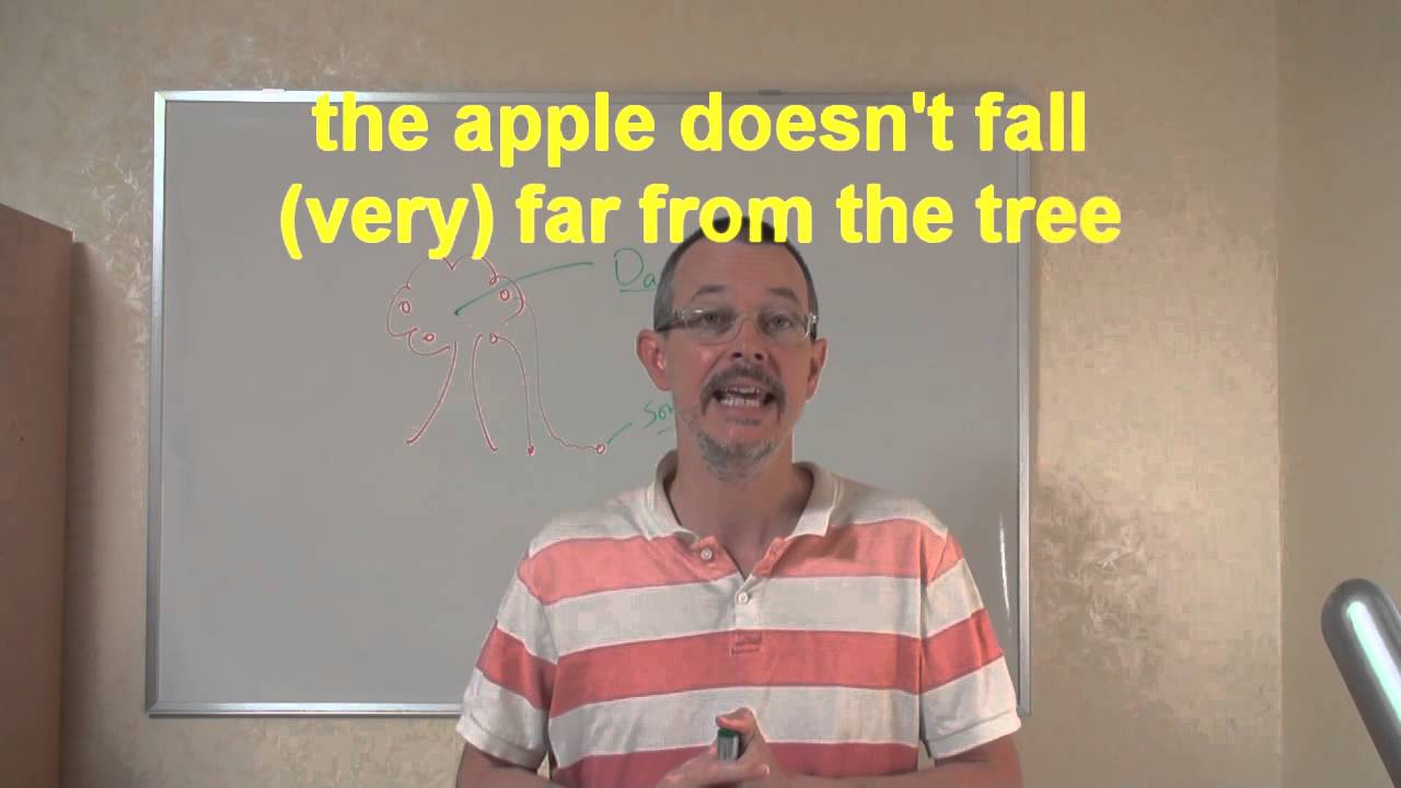 Learn English: Daily Easy English Expression 0260: The apple doesn't fall far from the tree